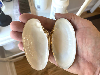 Handcrafted Clam Shell Salt and Pepper Dishes – Beach House Table Decor