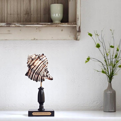 Mounted Shell Sculpture, Sea Shell on Stand, Tropical Shell Display, Elegant Coastal Decor, Beach House Gift, Nautical Marine Home Accent